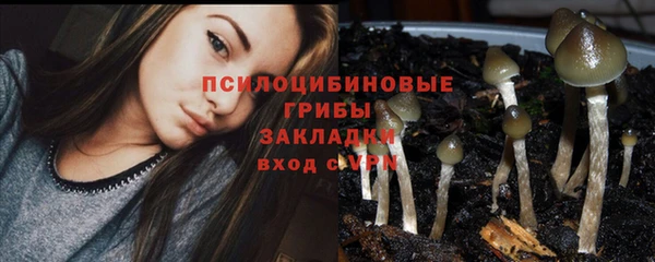 PSILOCYBIN Белоозёрский